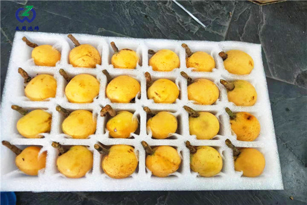 枇杷托是用哪種包裝材料？
