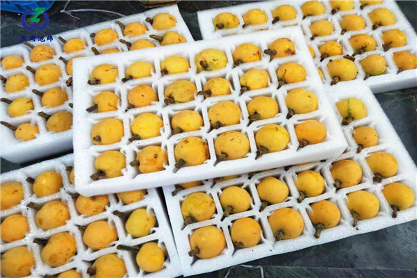 定做枇杷托的材料是環(huán)保的嗎？